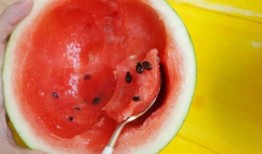 吃瓜吃到网红身上,网红们的“吃瓜”日常